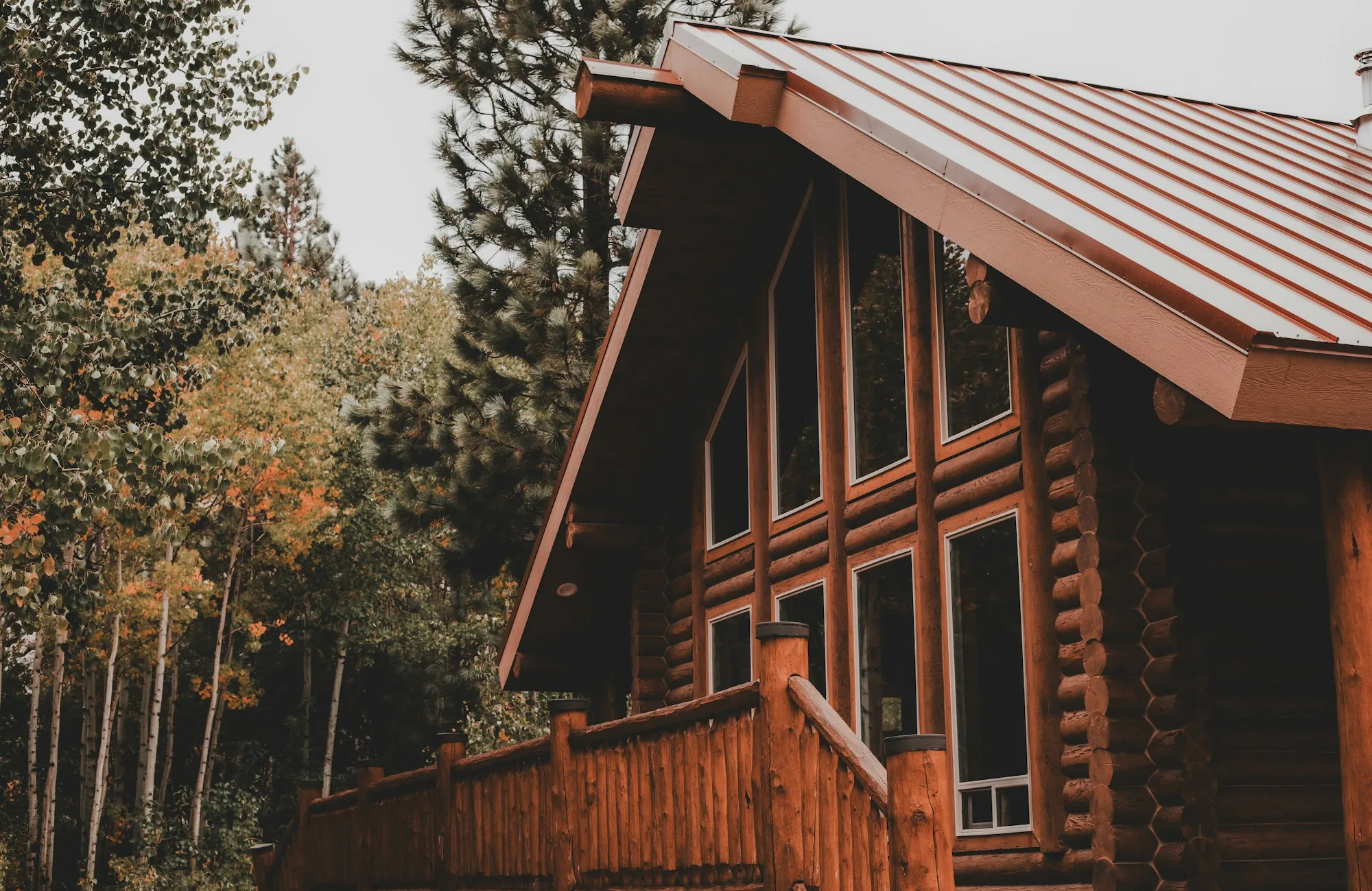 Log home with a metal roof in a wooded setting